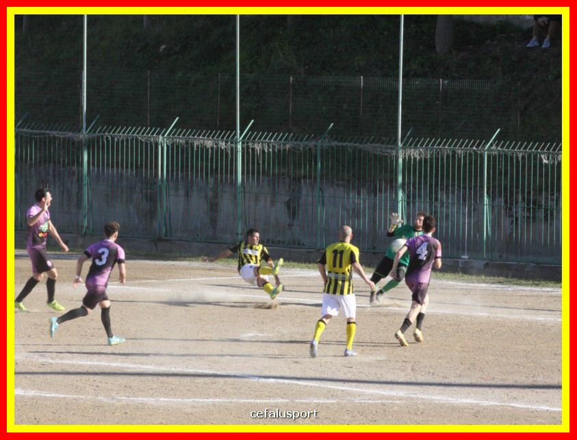 190310 Cephal_Torrenov 130_tn.jpg